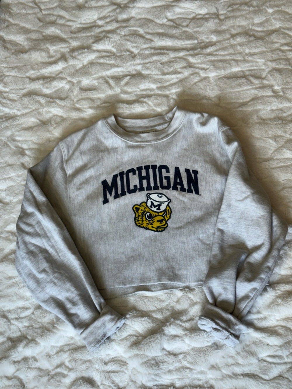 University of Michigan Cropped Champion Crewneck Size Small